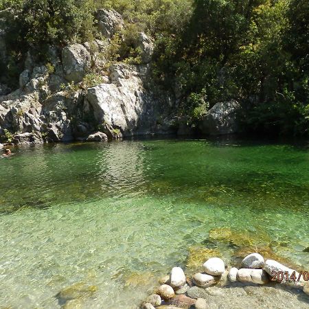 Location Vacances Linguizzetta Bagian luar foto