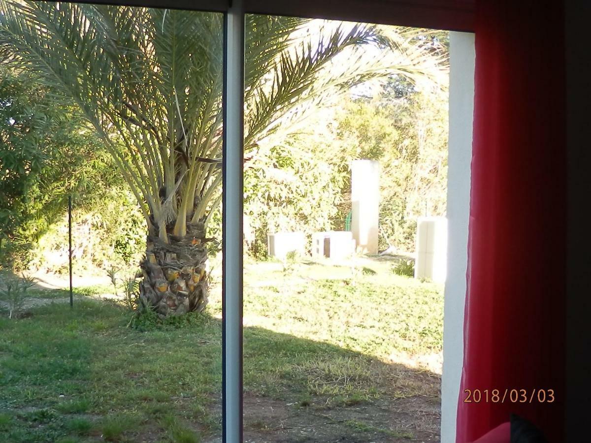 Location Vacances Linguizzetta Bagian luar foto