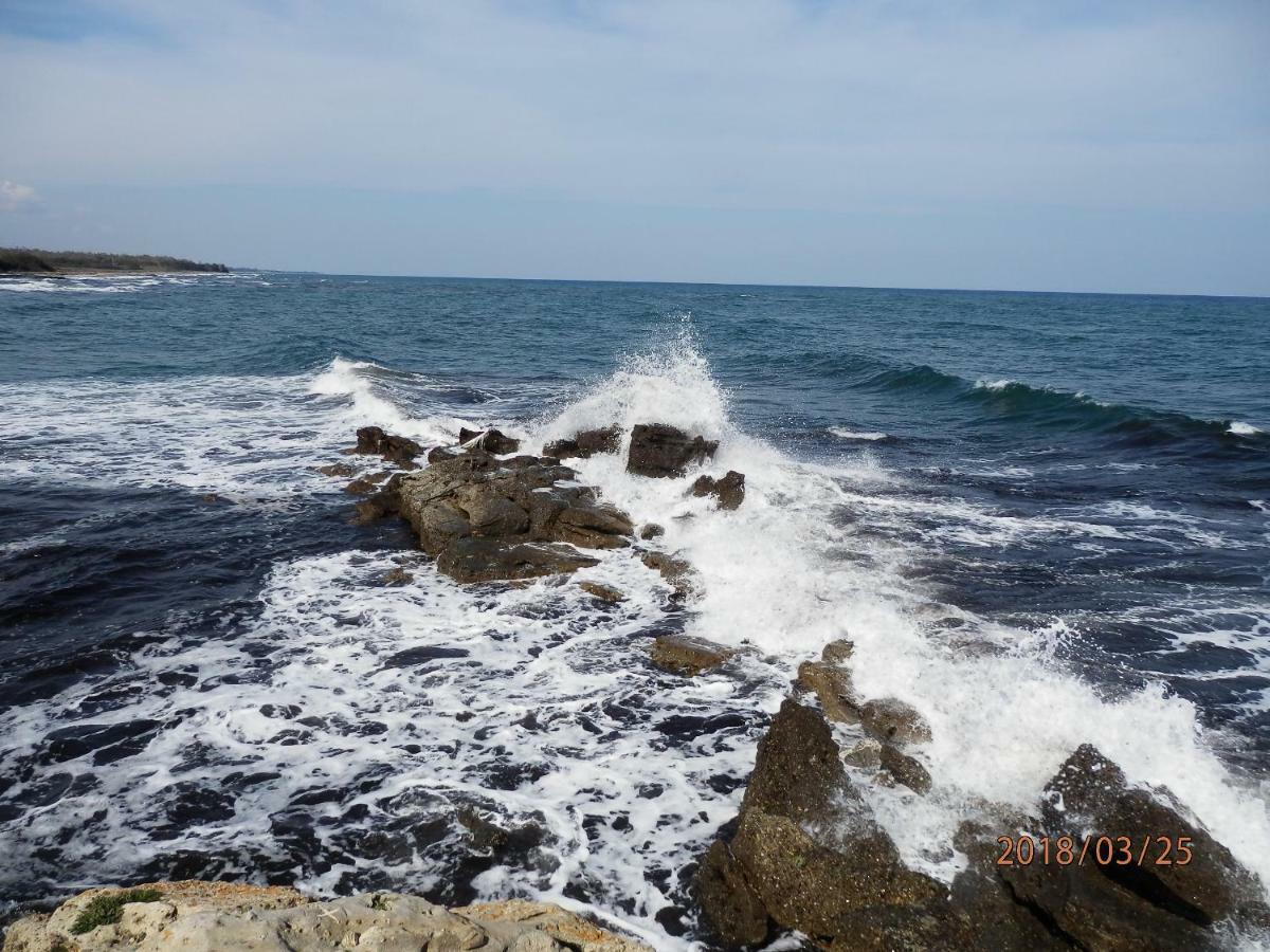 Location Vacances Linguizzetta Bagian luar foto