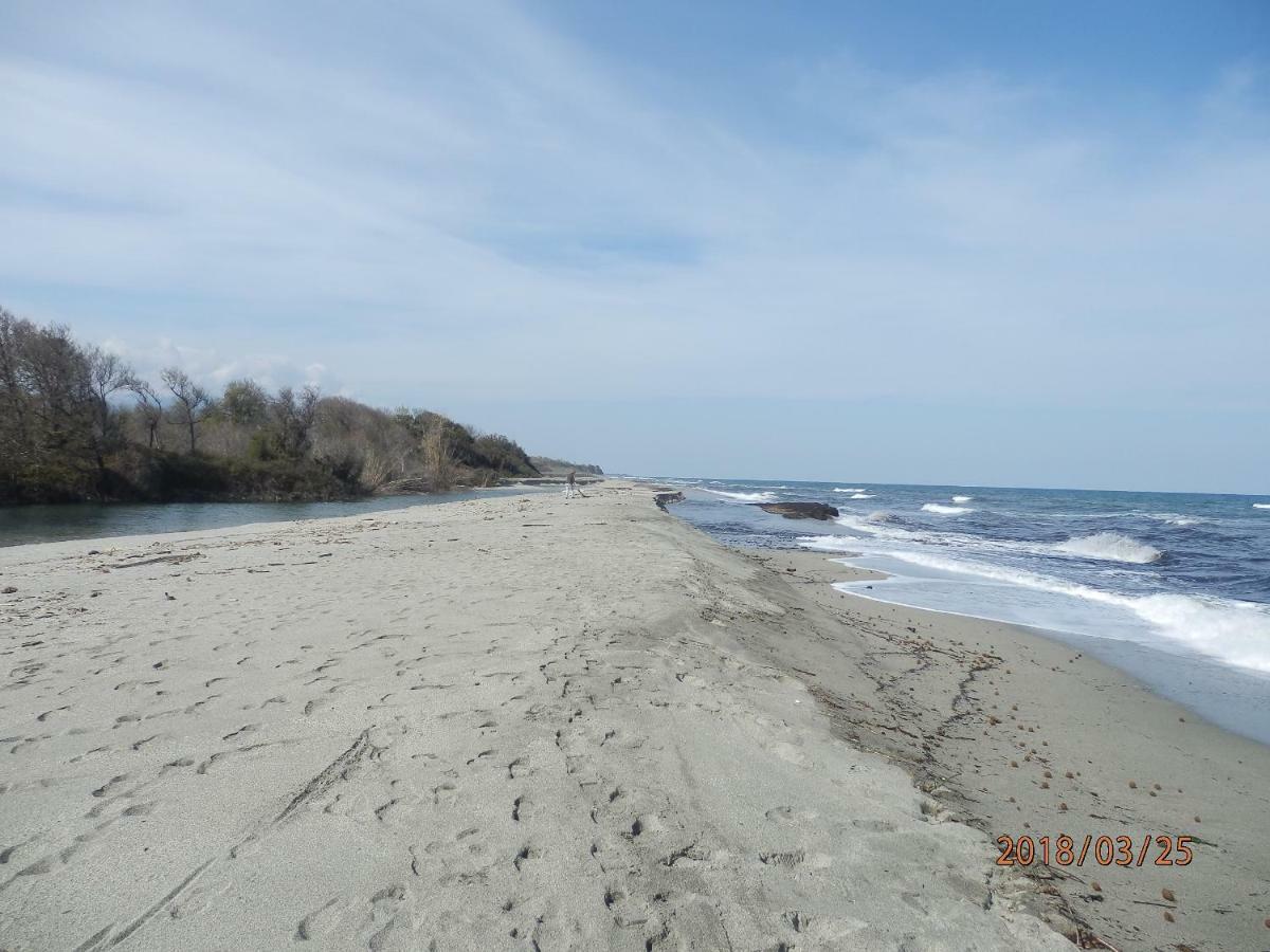 Location Vacances Linguizzetta Bagian luar foto