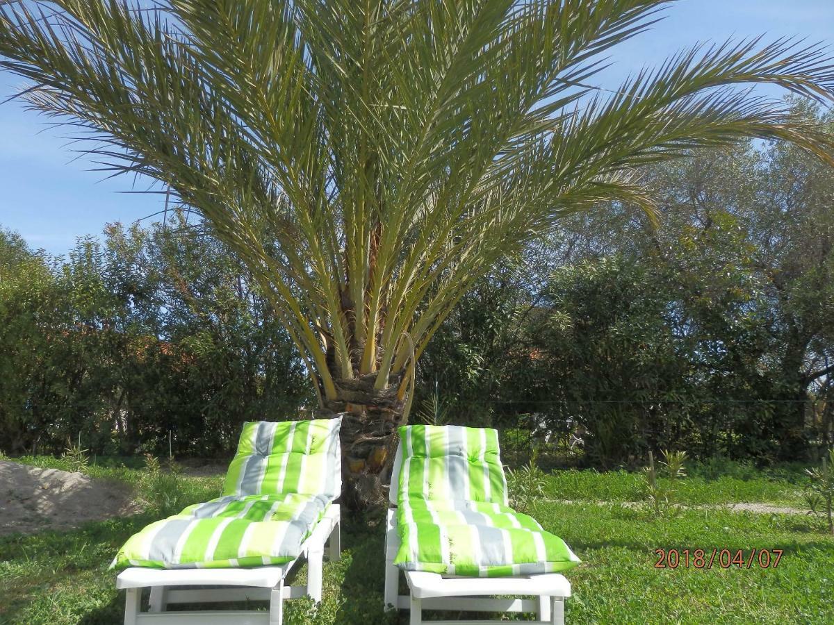 Location Vacances Linguizzetta Bagian luar foto